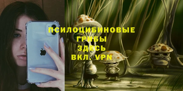 экстази Михайлов