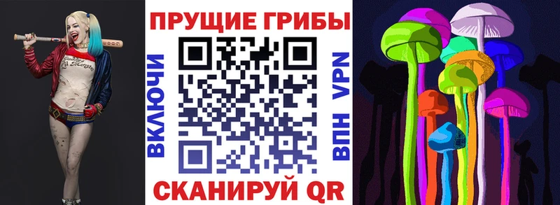 цена наркотик  Обоянь  Галлюциногенные грибы Cubensis 