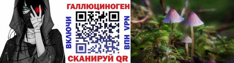 Галлюциногенные грибы мицелий Обоянь